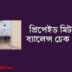 প্রিপেইড মিটারের ব্যালেন্স চেক কোড